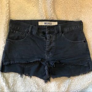 Brandy Melville Navy Shorts